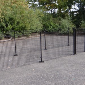 Chicken run Rectangle | also suitable for rabbits