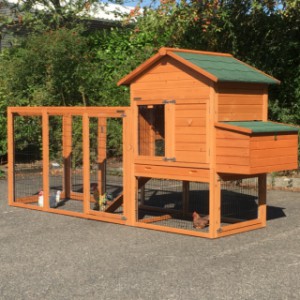 Chicken coop of wood Prestige Medium with run and laying nest