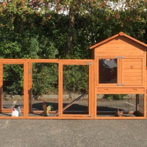 Chicken coop Prestige Medium with run Functional and laying nest