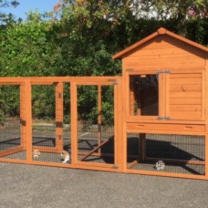 The hutch Prestige Medium offers a lot of place for your rabbits