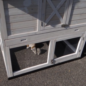 Chicken coop with practical drawer