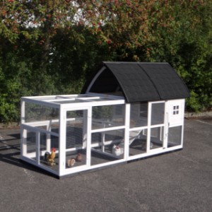 Rabbit hutch Kathedraal Large with added runs and foundations 286x150x157cm