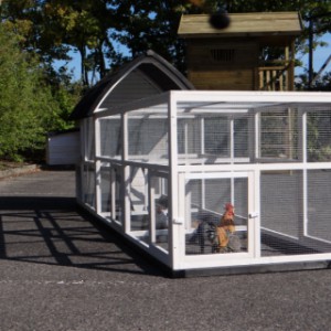 Luxurious rabbit hutch with a lot of space