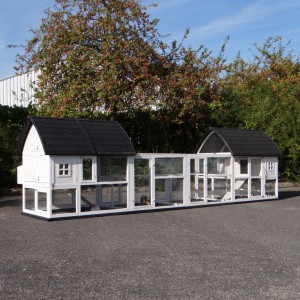 Chicken coop Kathedraal Luxe - XL with added runs and foundations 572x150x157cm