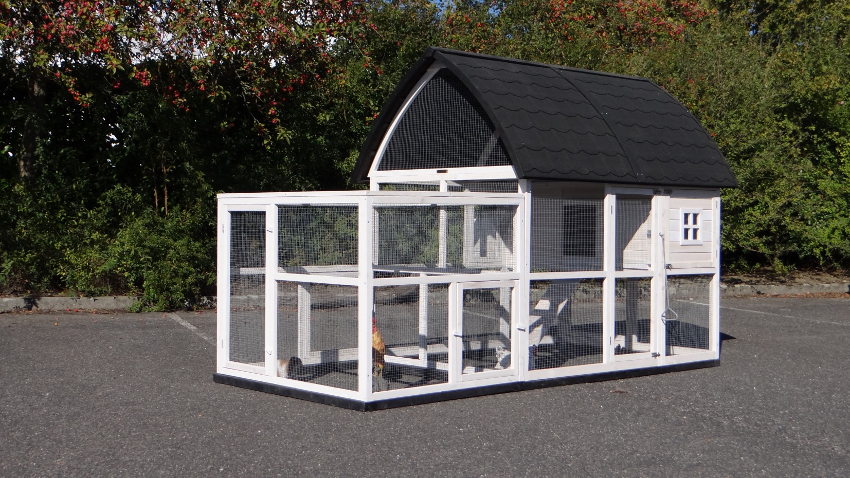 En Coop Cathedral Extra Large With Added Run En Coop Cathedral Xl With Run And Foundations 291x174x181cm