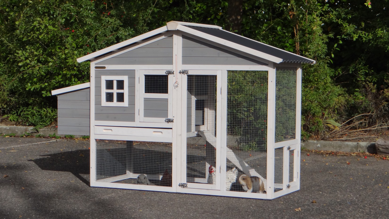 Chicken Coop Niels With Plastic Roof And Nest Box 187x72x120cm