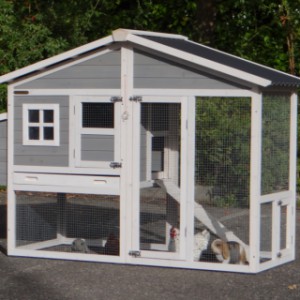 The chickencoop Niels is an acquisition for your garden