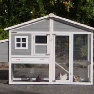 The chickencoop Niels is made of pine wood