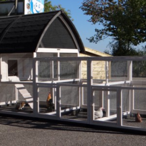 Large rabbit hutch with run and nestbox