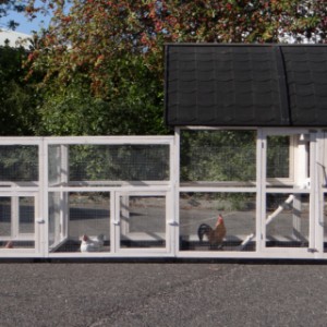 Large chicken coop with a lot of space in the run