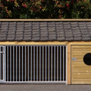 This large dog kennel Rex 1 is an acquisition for your garden!