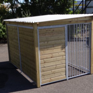 The dog kennel Forz is provided with a large run