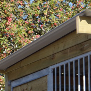 The dog kennel Forz has a roof with wooden edges