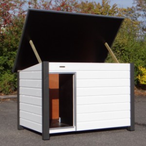 Doghouse with hinged roof