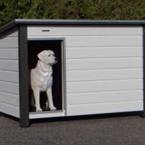 Large, insulated doghouse