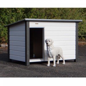 Insulated dog house