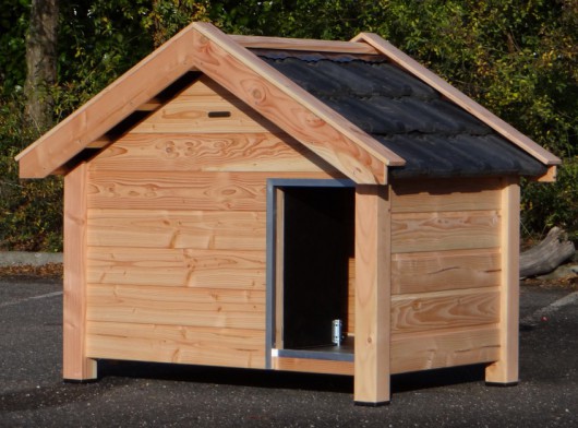 Doghouse Reno made of douglas wood