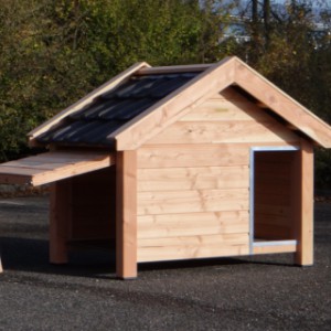 Dog house Reno with side panel