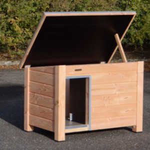 Decent doghouse with hinged roof