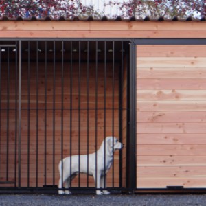 The dog kennel Forz offers a lot of space for your dog