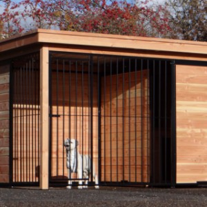 The dog kennel offers space for a sleeping compartment