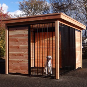 The dog kennel exists of half bars and half wood