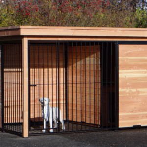 The dog kennel offers a lot place for your dog