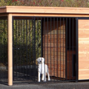 Dog kennel with free run of 2x2 and equipped with insulated doghouse