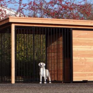Strong dog kennel for outside