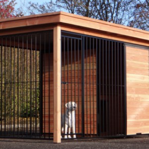 Large dog kennel with a lot of possibilities