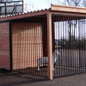 Doghouse with opened free range, equipped with roof