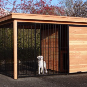 Dog kennel FIX black with frame of Douglas wood and doghouse