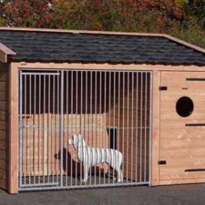 The dog kennel Max 1 is provided with 1 bar panel
