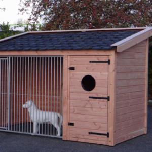 The dog kennel Max 1 is suitable for a large dog