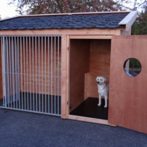 The dog kennel Max 1 is provided with large doors