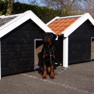 The dog house is available in various versions