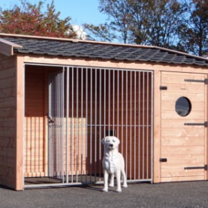 The beautiful kennel Max 1 is made of Douglas wood