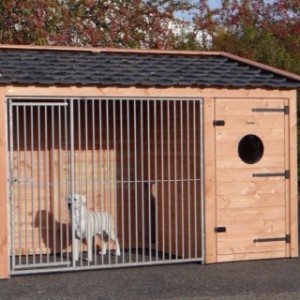 The dog kennel Max is provided for a large dog