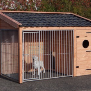 The dog kennel Max is provided with second-hand roof tiles