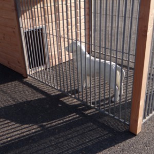 The kennel Max 3 can also be delivered with black bar panels