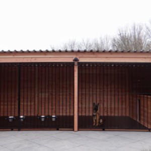 Large dog kennel XXL of 6 x 2,5 m