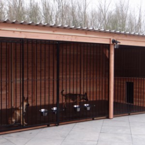 Dog kennel of wood for two or three dogs