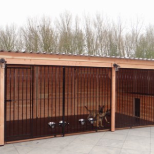 Dog kennel Forz made of Douglas wood with insulated doghouse