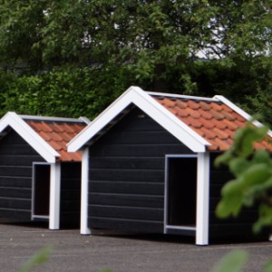 Luxury dog house in different sizes