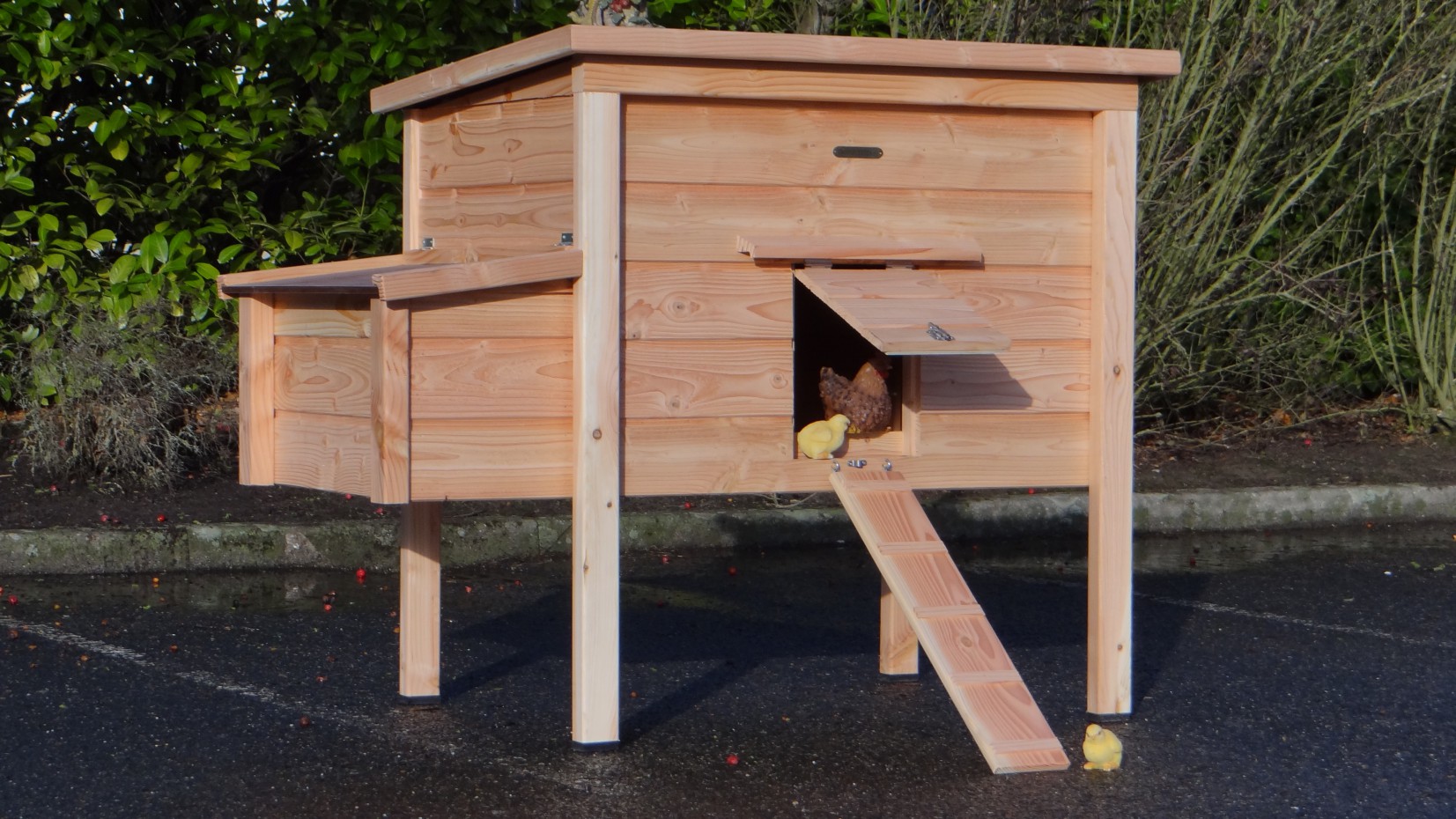 Chicken Coop Chicky 2 With Laying Nest Douglas Wood 145x84x125cm