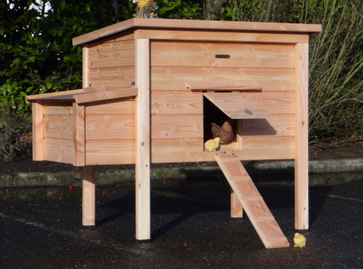 Beautiful chicken coop with laying nest