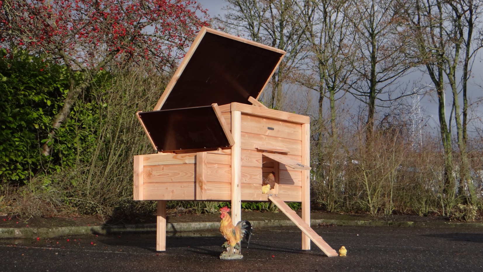 Chicken coop Chicky 2 made of Douglas wood