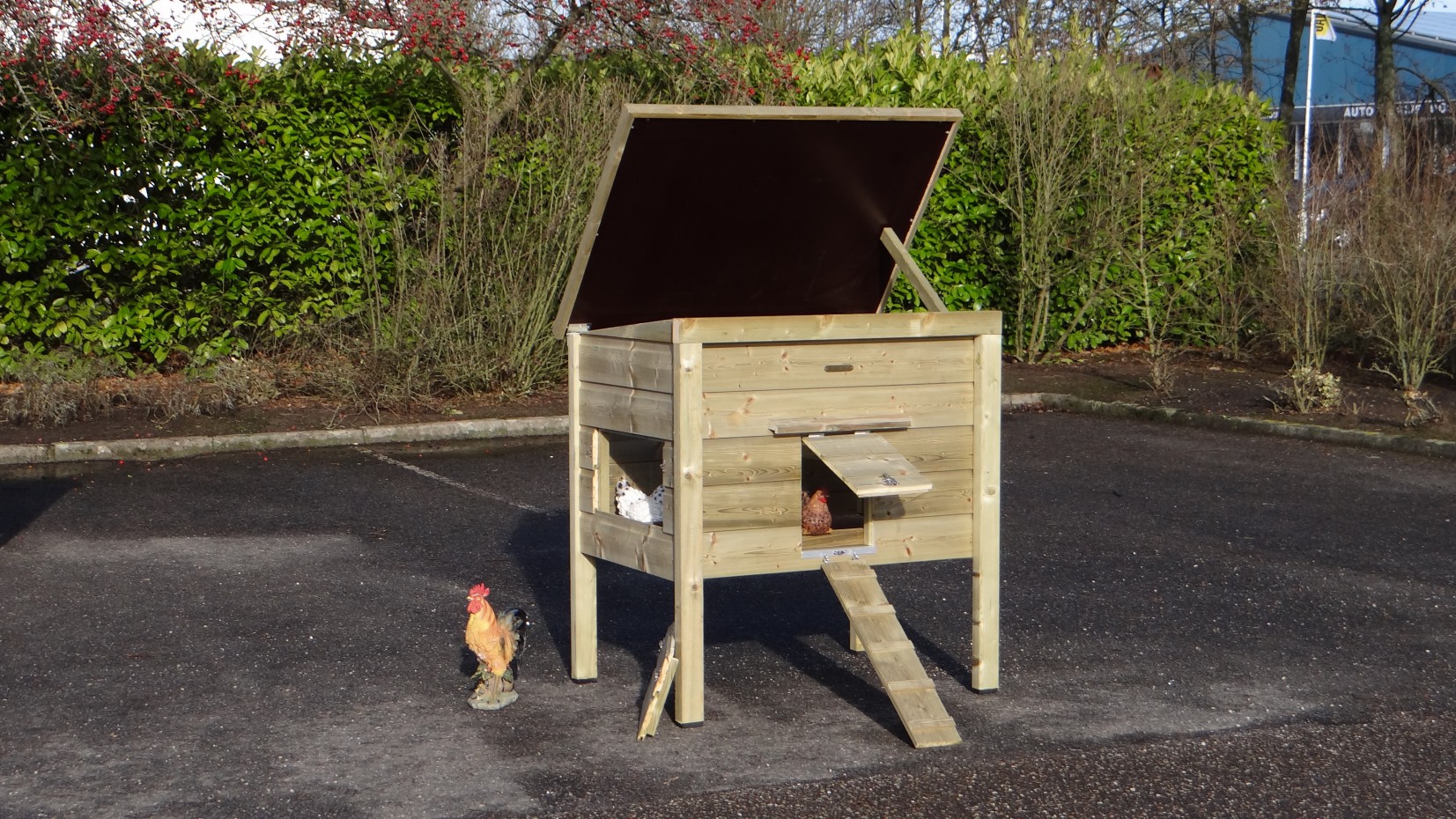 Chicken coop Chicky 2, best Dutch quality