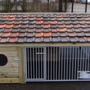 Have a look on the frontside of dog kennel Rex 2