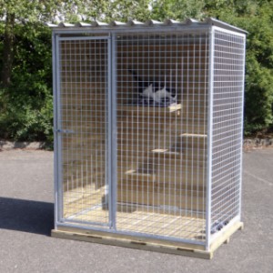 The climbing boards can be mounted in a kennel